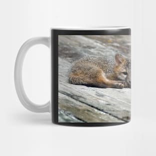 Sleepy Fox Kit Mug